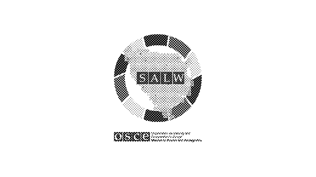 Map graphic with blue segments and a red "SALW" label, OSCE logo below.