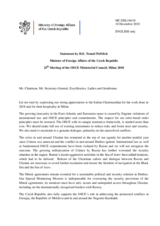 Statement by H.E. Tomas Petricek, Minister of Foreign Affairs