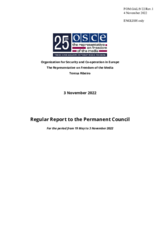 Report by the OSCE Representative on Freedom of the Media, Ms. Teresa Ribeiro