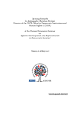 Opening remarks by Ambassador Christian Strohal