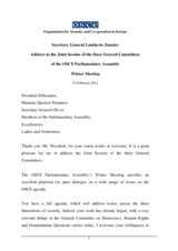 Address by OSCE Secretary General Lamberto Zannier