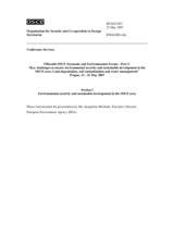 Presentation by Ms. Jacqueline McGlade, Executive Director, European Environment Agency (EEA)