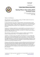 Intervention by the Delegation of the United States of America