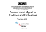 Presentation by Tamer Afifi, Associate Academic Officer/Economist, United Nations University, Institute for Environment and Human Security