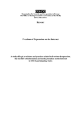 Freedom of Expression on the Internet