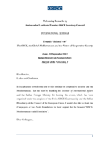 Welcoming Remarks by Ambassador Lamberto Zannier, OSCE Secretary General