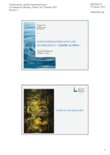 Presentation by Ms. Susanne Brandstetter, Chair, Public Participation Expert Group