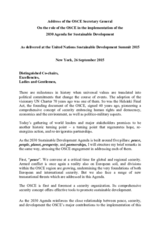 Address of the OSCE Secretary General On the role of the OSCE in the implementation of the  2030 Agenda for Sustainable Development