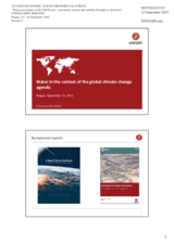 Presentation by Mr. Benjamin Pohl, Senior Project Manager